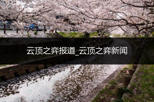 云顶之弈报道_云顶之弈新闻