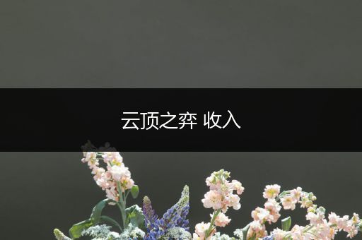 云顶之弈 收入
