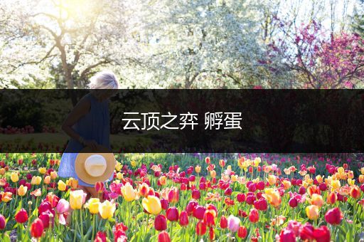云顶之弈 孵蛋