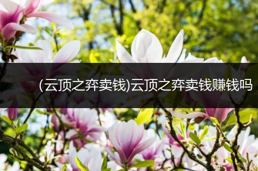 （云顶之弈卖钱)云顶之弈卖钱赚钱吗