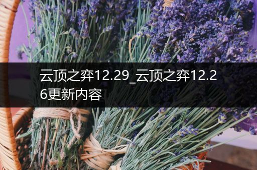 云顶之弈12.29_云顶之弈12.26更新内容