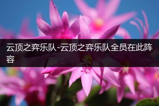 云顶之弈乐队-云顶之弈乐队全员在此阵容