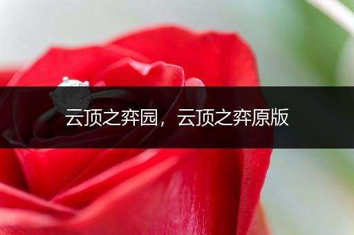云顶之弈园，云顶之弈原版