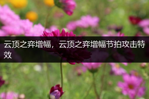云顶之弈增幅，云顶之弈增幅节拍攻击特效