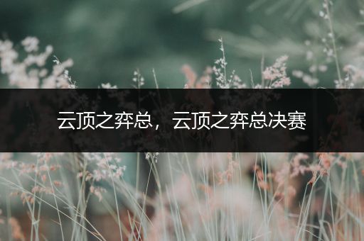 云顶之弈总，云顶之弈总决赛