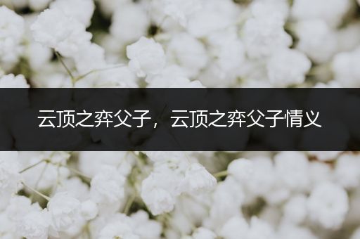 云顶之弈父子，云顶之弈父子情义