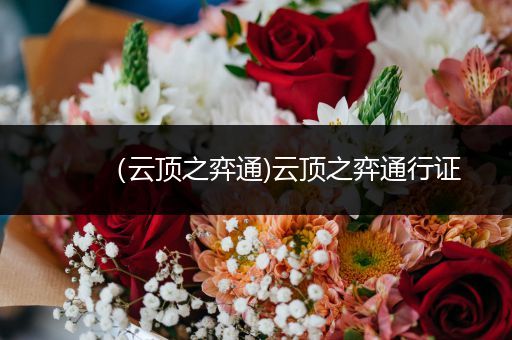 （云顶之弈通)云顶之弈通行证
