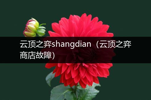 云顶之弈shangdian（云顶之弈商店故障）