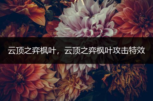 云顶之弈枫叶，云顶之弈枫叶攻击特效
