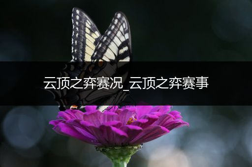 云顶之弈赛况_云顶之弈赛事