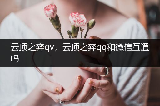 云顶之弈qv，云顶之弈qq和微信互通吗