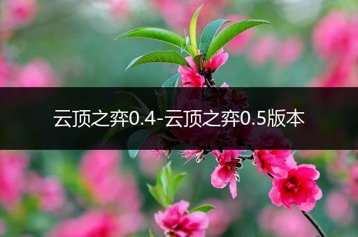 云顶之弈0.4-云顶之弈0.5版本