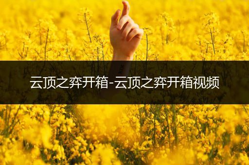 云顶之弈开箱-云顶之弈开箱视频
