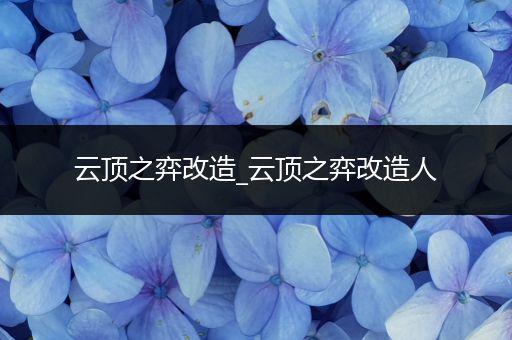 云顶之弈改造_云顶之弈改造人