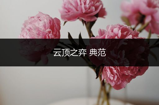 云顶之弈 典范