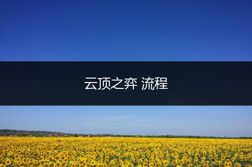 云顶之弈 流程