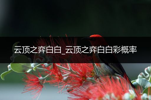 云顶之弈白白_云顶之弈白白彩概率