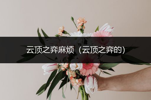 云顶之弈麻烦（云顶之弈的）