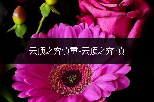 云顶之弈慎重-云顶之弈 慎