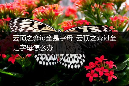 云顶之弈id全是字母_云顶之弈id全是字母怎么办