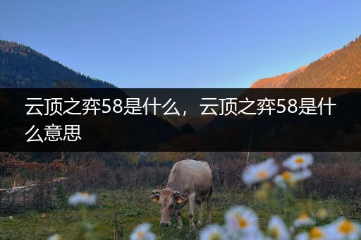 云顶之弈58是什么，云顶之弈58是什么意思