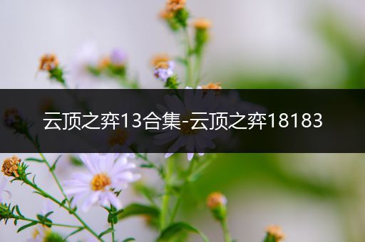云顶之弈13合集-云顶之弈18183