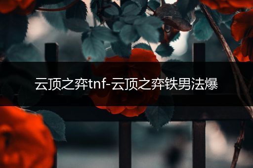 云顶之弈tnf-云顶之弈铁男法爆