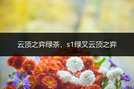 云顶之弈绿茶，s1绿叉云顶之弈