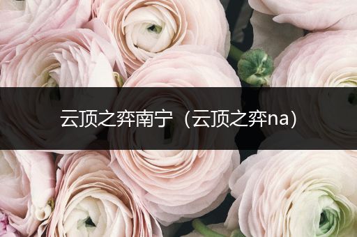 云顶之弈南宁（云顶之弈na）