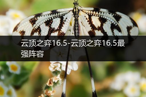 云顶之弈16.5-云顶之弈16.5最强阵容