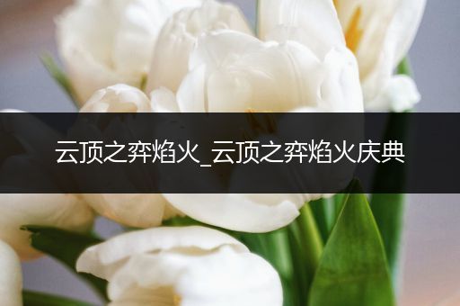 云顶之弈焰火_云顶之弈焰火庆典
