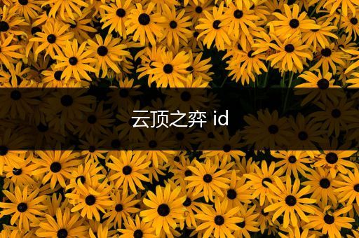 云顶之弈 id