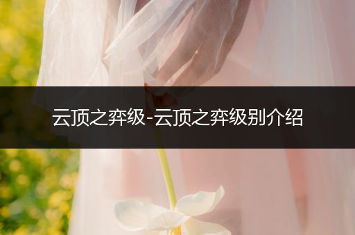 云顶之弈级-云顶之弈级别介绍