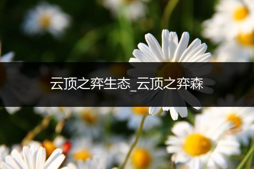云顶之弈生态_云顶之弈森