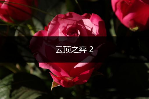 云顶之弈 2