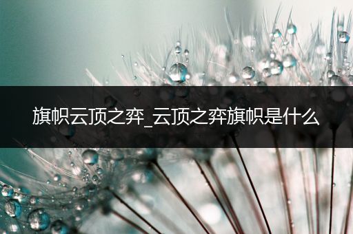 旗帜云顶之弈_云顶之弈旗帜是什么