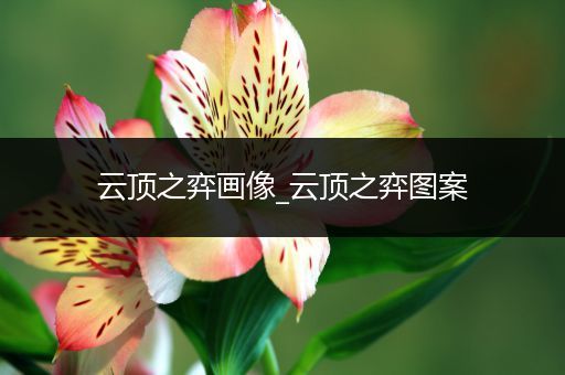 云顶之弈画像_云顶之弈图案