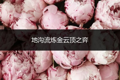 地沟流炼金云顶之弈