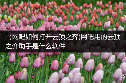 （网吧如何打开云顶之弈)网吧用的云顶之弈助手是什么软件