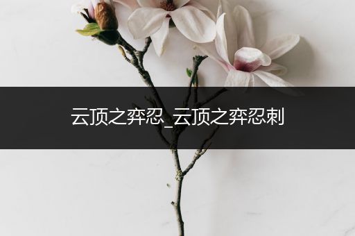 云顶之弈忍_云顶之弈忍刺