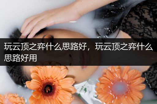 玩云顶之弈什么思路好，玩云顶之弈什么思路好用