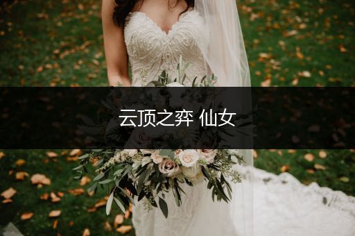 云顶之弈 仙女