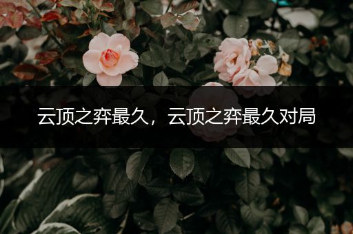 云顶之弈最久，云顶之弈最久对局