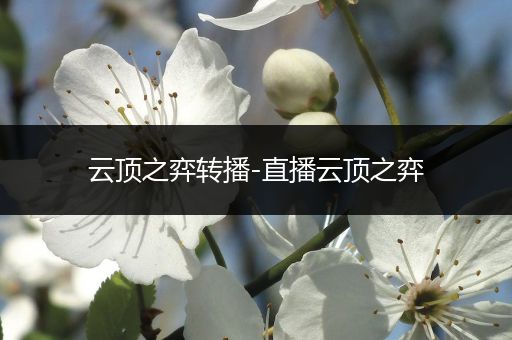 云顶之弈转播-直播云顶之弈