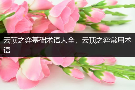 云顶之弈基础术语大全，云顶之弈常用术语