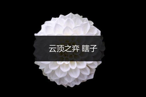 云顶之弈 瞎子
