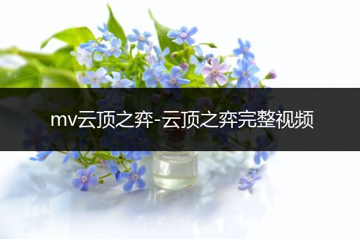 mv云顶之弈-云顶之弈完整视频