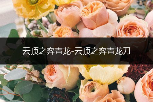 云顶之弈青龙-云顶之弈青龙刀