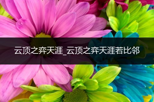 云顶之弈天涯_云顶之弈天涯若比邻