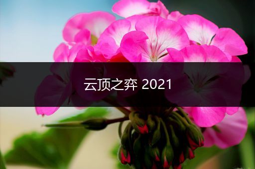 云顶之弈 2021